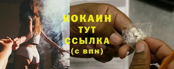 гидропоника Горняк