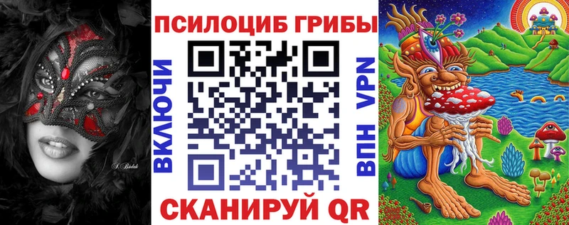 Галлюциногенные грибы Cubensis  Купить закладки  Новоржев 
